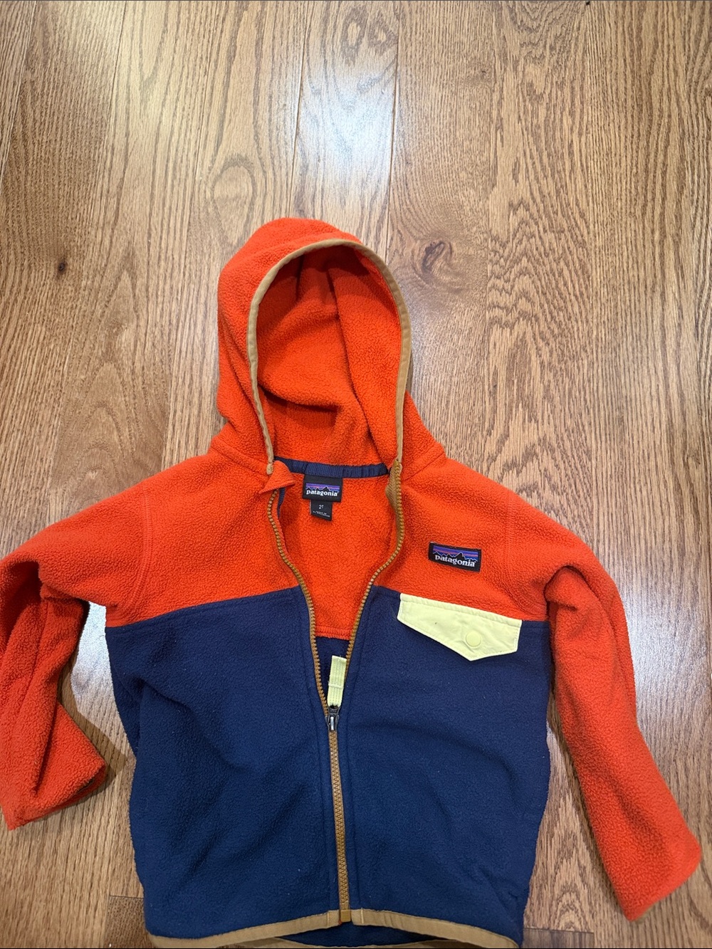 Patagonia 2T Boys Hooded Zip Fleece Jacket
